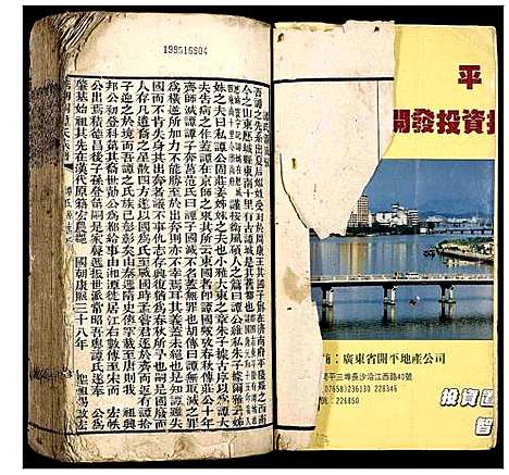 [谭]清湖洞谭氏族谱 (广东) 清湖洞谭氏家谱.pdf