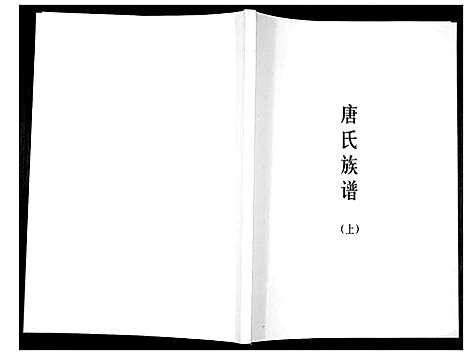 [唐]唐氏族谱 (广东) 唐氏家谱_一.pdf