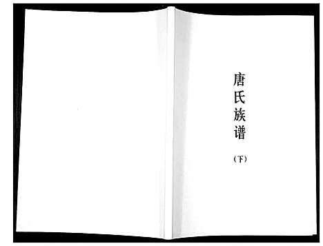 [唐]唐氏族谱 (广东) 唐氏家谱_二.pdf