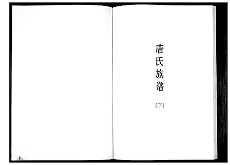 [唐]唐氏族谱 (广东) 唐氏家谱_二.pdf