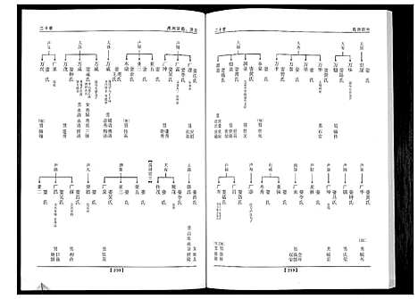 [唐]唐氏族谱 (广东) 唐氏家谱_二.pdf