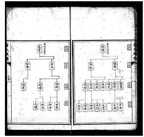 [唐]唐氏族谱_卷数不详 (广东) 唐氏家谱.pdf