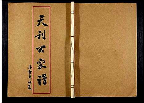 [王]下尾王氏族谱 (广东) 下尾王氏家谱_一.pdf