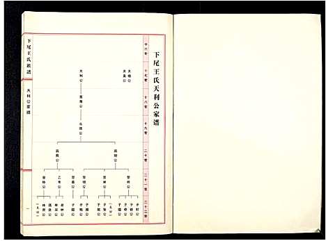 [王]下尾王氏族谱 (广东) 下尾王氏家谱_一.pdf