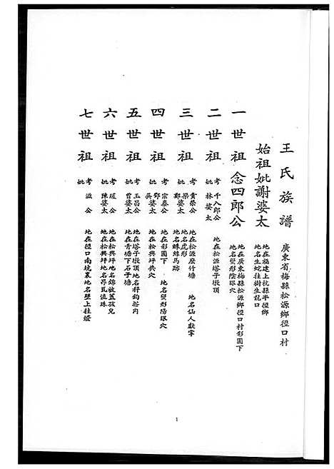 [王]王氏族谱简录 (广东) 王氏家谱.pdf