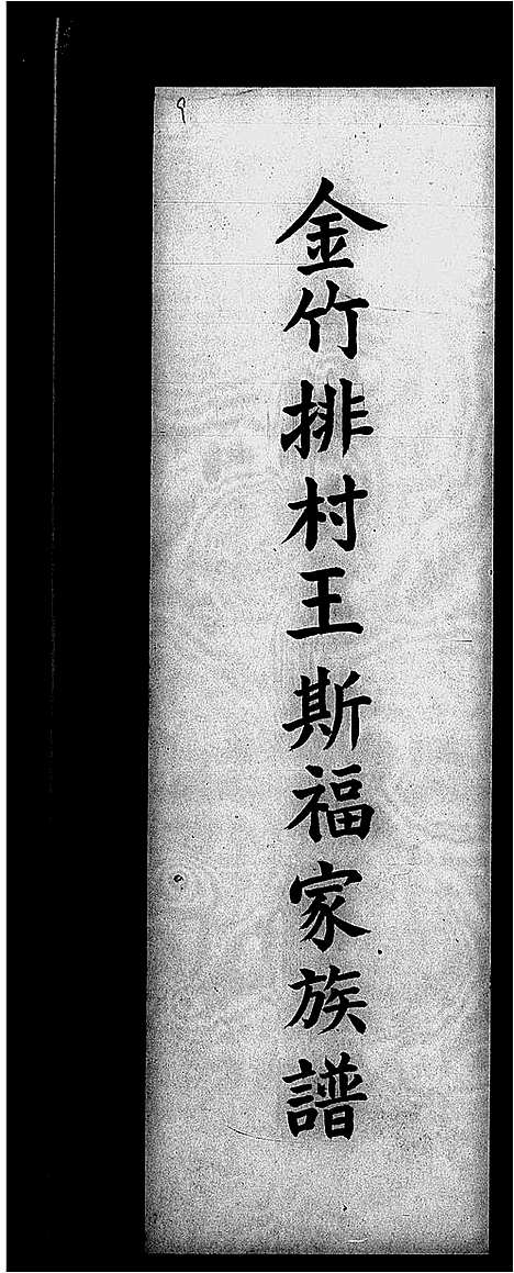 [王]金竹排村王斯福家族谱 (广东) 金竹排村王斯福家家谱.pdf