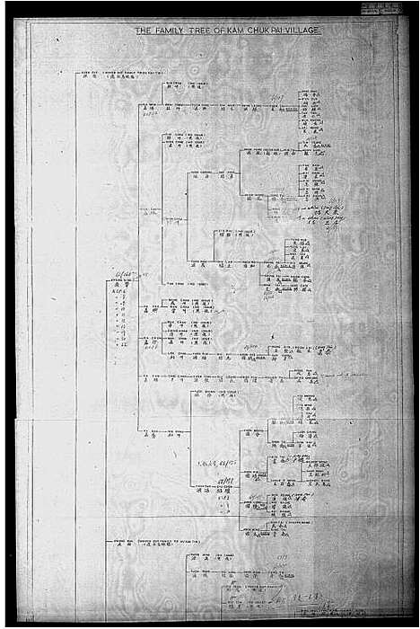 [王]金竹排村王斯福家族谱 (广东) 金竹排村王斯福家家谱.pdf