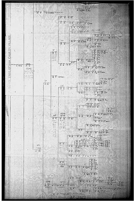 [王]金竹排村王斯福家族谱 (广东) 金竹排村王斯福家家谱.pdf