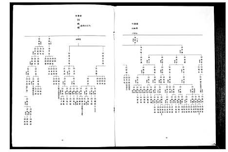 [魏]魏氏_藩园公家谱 (广东) 魏氏藩园公家谱_一.pdf