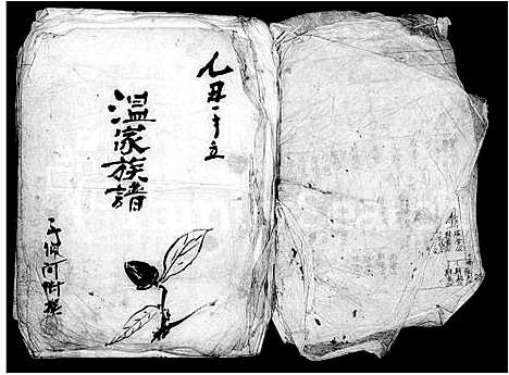 [温]温家族谱 (广东) 温家家谱_一.pdf