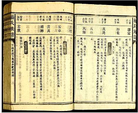 [杨]杨氏宗谱 (广东) 杨氏家谱_二.pdf