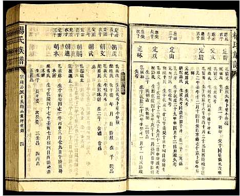 [杨]杨氏宗谱 (广东) 杨氏家谱_二.pdf