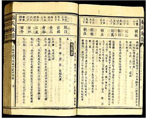 [杨]杨氏宗谱 (广东) 杨氏家谱_二.pdf