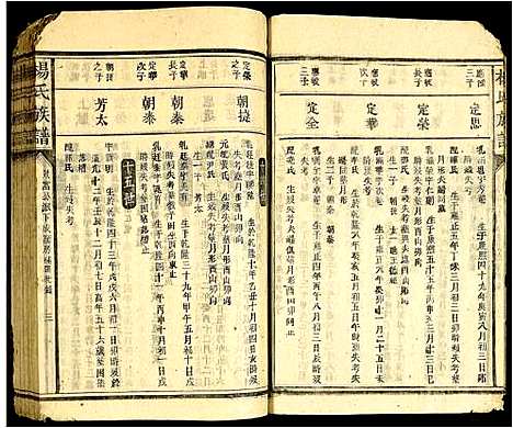 [杨]杨氏宗谱 (广东) 杨氏家谱_三.pdf