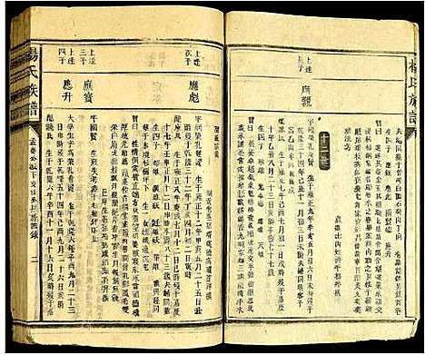 [杨]杨氏宗谱 (广东) 杨氏家谱_四.pdf