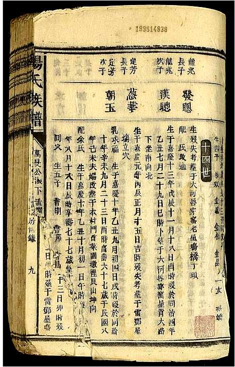 [杨]杨氏宗谱 (广东) 杨氏家谱_五.pdf