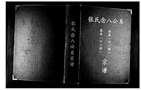 [张]张氏念八公系宗谱 (广东) 张氏念八公系家谱_一.pdf