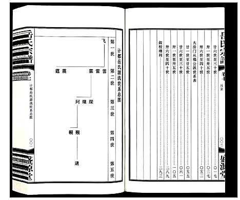 [岳]岳氏宗谱_11卷 (甘肃) 岳氏家谱_八.pdf