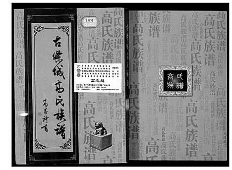 [高]古条城高氏族谱 (甘肃) 古条城高氏家谱.pdf