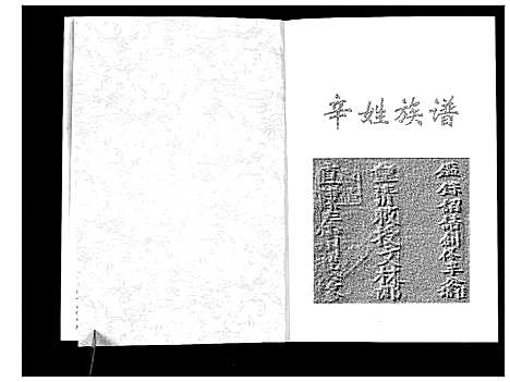 [辛]辛姓族谱_不分卷 (甘肃) 辛姓家谱_一.pdf