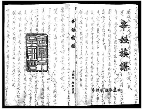 [辛]辛姓族谱_不分卷 (甘肃) 辛姓家谱_二.pdf