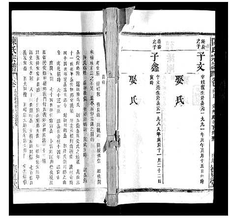 [陈]陈氏宗谱 (广西) 陈氏家谱_十五.pdf