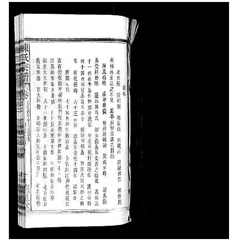 [陈]陈氏宗谱 (广西) 陈氏家谱_十五.pdf