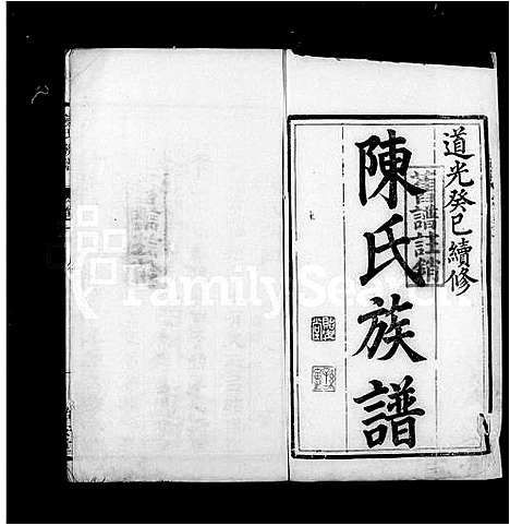 [陈]陈氏族谱 (广西) 陈氏家谱.pdf