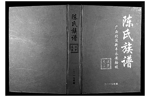 [陈]陈氏族谱 (广西) 陈氏家谱_一.pdf