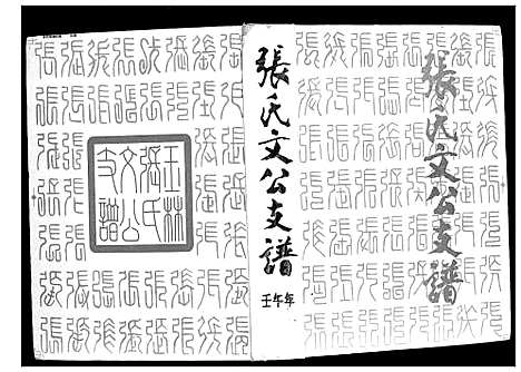 [张]张氏文公支谱 (广西) 张氏文公支谱_一.pdf