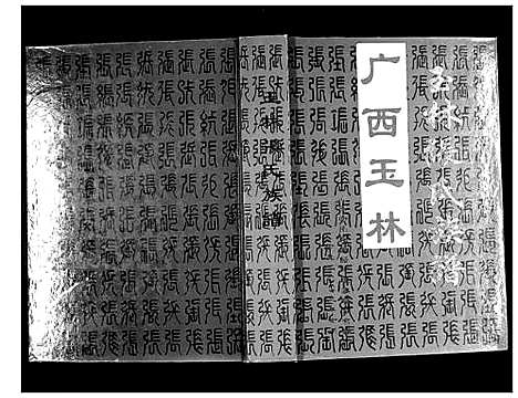 [张]玉林张氏族谱 (广西) 玉林张氏家谱.pdf