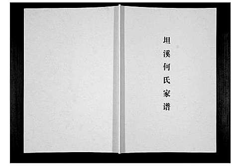 [何]坦溪何氏家谱_不分卷 (广西) 坦溪何氏家谱_一.pdf