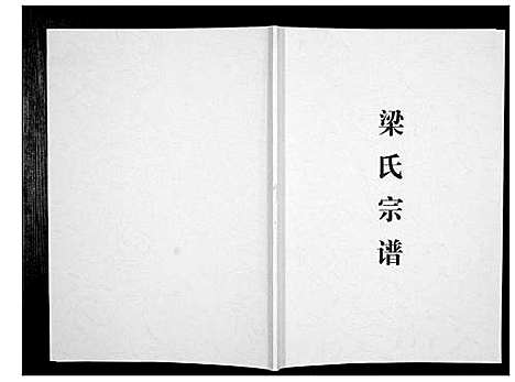 [梁]梁氏宗谱_不分卷 (广西) 梁氏家谱_一.pdf