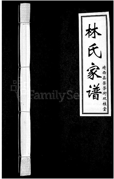 [林]林氏家谱-靖西县荣劳街双桂堂_林氏家谱 (广西) 林氏家谱.pdf