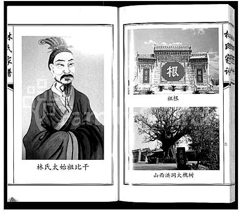 [林]林氏家谱-靖西县荣劳街双桂堂_林氏家谱 (广西) 林氏家谱.pdf