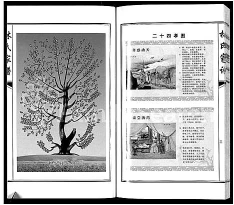 [林]林氏家谱-靖西县荣劳街双桂堂_林氏家谱 (广西) 林氏家谱.pdf