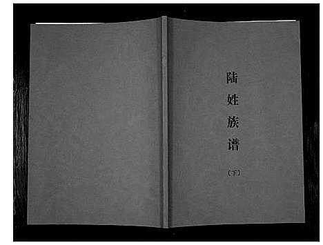 [陆]陆姓族谱 (广西) 陆姓家谱_三.pdf