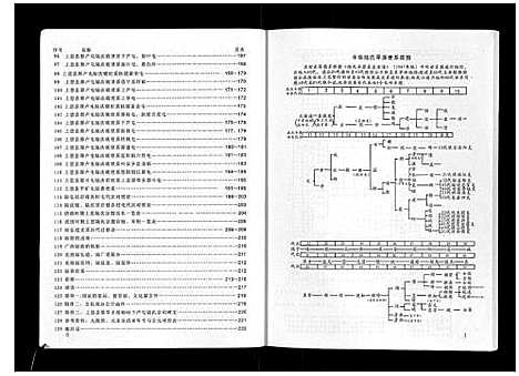 [未知]广西省上思陆氏宗谱 (广西) 广西省上思陆氏家谱_一.pdf