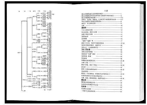 [吴]吴氏_添喜公族谱 (广西) 吴氏添喜公家谱.pdf