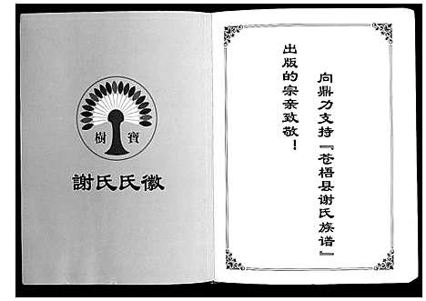 [谢]谢氏族谱 (广西) 谢氏家谱.pdf