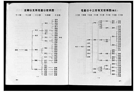 [谢]谢氏族谱 (广西) 谢氏家谱.pdf