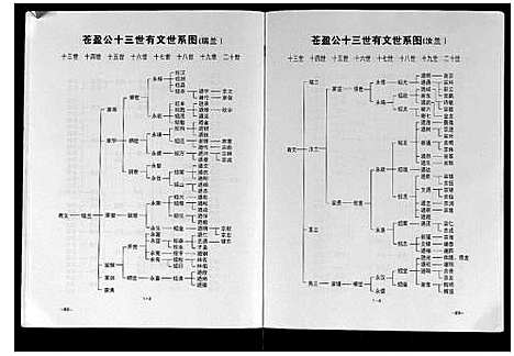 [谢]谢氏族谱 (广西) 谢氏家谱.pdf