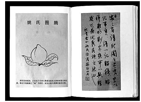 [姚]蒙山姚氏族谱 (广西) 蒙山姚氏家谱.pdf