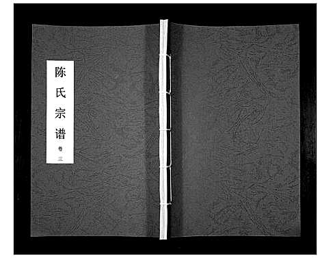 [陈]陈氏宗谱 (贵州) 陈氏家谱_三.pdf