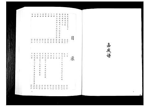 [张]张氏宗谱 (贵州) 张氏家谱.pdf