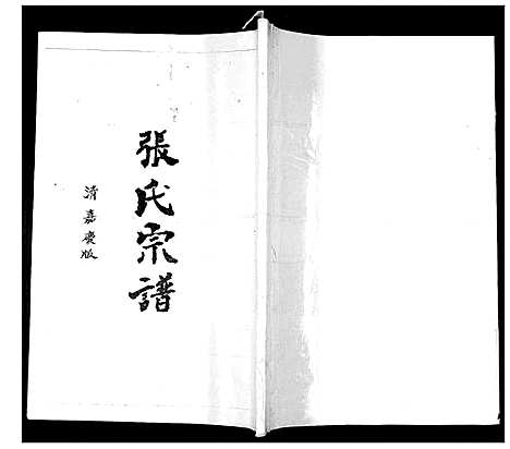 [张]张氏宗谱 (贵州) 张氏家谱.pdf