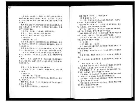 [费]费氏恩用派支谱_2册 (贵州) 费氏恩用派支谱_二.pdf