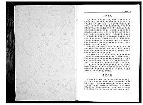 [王]王氏家史_不分卷 (贵州) 王氏家史.pdf