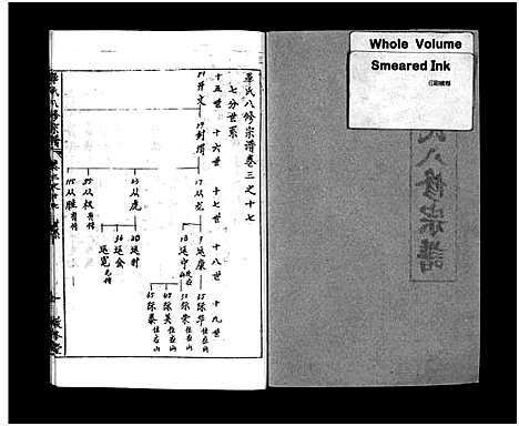 [毕]毕氏八修宗谱_6卷及首上下-Bi Shi Ba Xiu (湖北) 毕氏八修家谱_十二.pdf