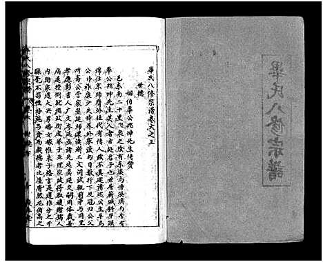 [毕]毕氏八修宗谱_6卷及首上下-Bi Shi Ba Xiu (湖北) 毕氏八修家谱_四十一.pdf